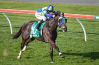 Bairnsdale preview Oct 8