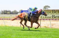 Cavalero bolts in