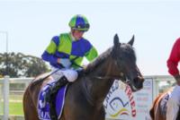 This mare is worth thought!