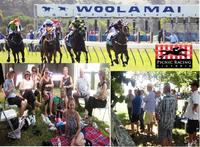 A DAY OUT AT THE WOOLAMAI PICNIC RACES