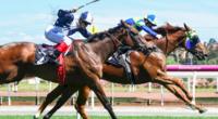 Cavalero takes Flemington