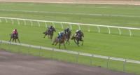 Early Two Year Olds Progress To Jump Outs