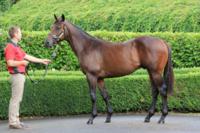 First Two Year-Old Runner For The Season