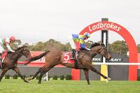 Ex New Zealander Rocks Sandown