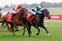 Libertus impressive first up at Sandown