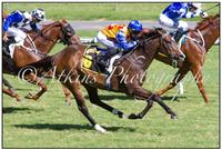 ALASKAN JADE WINS LAST RACE OF YEAR