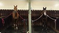 STABLE FIRES AT THE VALLEY