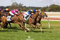 MYSTICANO WINS IN TOWN