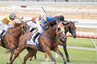 ARCTIC BLAZE MAKING IT BACK TO BACK VICTORIES