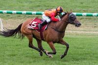 PANAGIOTA WINS AT THE BRIDGE