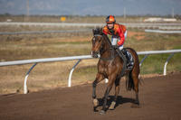 OLIVERS TALE BREAKS HIS MAIDEN