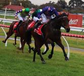 2 WINS IN 2 WEEKS FOR SPIEGEL