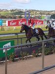 SPIEGEL SCORES AT GAWLER