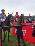 END OF SEASON QUINELLA