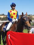 MYSTICANO IS BACK WITH FORCE