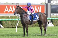 MUM’S MY HERO CONTINUES GREAT FORM