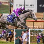 NO BETTER THAN BETTA EDDIE AT OAKBANK