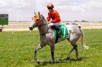 ZEGRESTOS EXPLOSIVE WIN