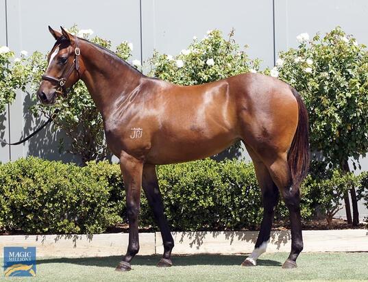 Smart Missile X Nadawaat
