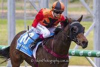 DOMINANT 2YO METRO WIN BY FURPHY
