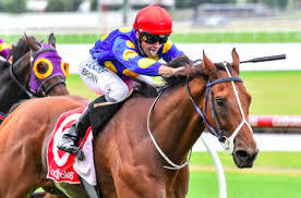 VETERAN PUTS SMILE ON HARRISON'S DIAL