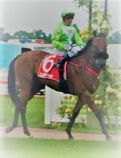Sir Kalahad