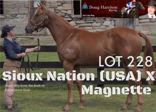 Un-named (Sioux Nation - Magnette)