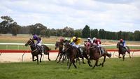 Dale to have big presence at Hay Cup | Andrew Dale Racing