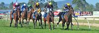 November wrap up | Andrew Dale Racing