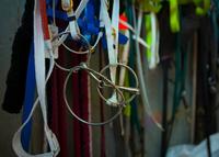 Around the Stable | Andrew Dale Racing