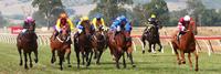 Albury Carnival Preview - Day One | Andrew Dale Racing