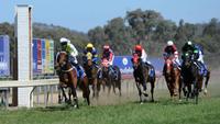 Arthur Porrit places, French Politician improving | Andrew Dale Racing