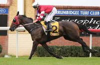 Two on the trot for Arthur Porrit | Andrew Dale Racing