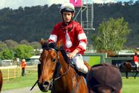 Five runners for ADR | Andrew Dale Racing