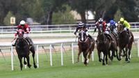 Raceday focus with Ray Thomas | The Daily Telegraph