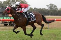 Biding Time salutes at Narrandera | Andrew Dale Racing
