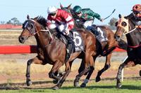 It's A Fireball flies at Albury | Andrew Dale Racing