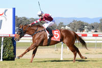 Dale finds key to French Politician | Andrew Dale Racing