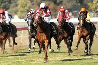 It's A Fireball blazes new record | Andrew Dale Racing