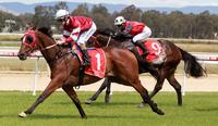 Lawton Joseph out to repeat at Corowa | Andrew Dale Racing