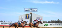 Devil’s Gold | Southern Riverina News
