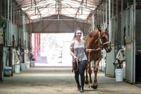 Little Red Devil on the move up north after Border trainer sells | The Border Mail
