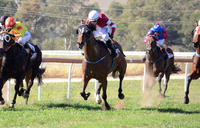 Parliament wins on debut | Andrew Dale Racing