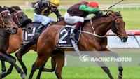 Turnitaround's Group Three Triumph
