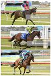 Oaks Day Home Track Treble