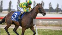 Country Cups Victory For Our Bottino