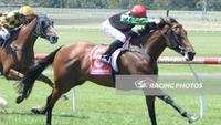 Lady Selkirk Bounces Back