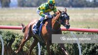 Primal Dreams Breaks Maiden In Good Style