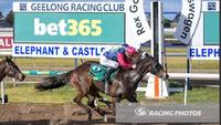 Good Form Continues For Mordacious