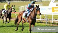 Magna Rossa Salutes At Casterton
